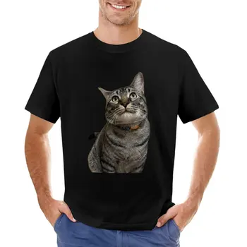 Belo Webster T-Shirt Estética roupas sweat shirts de manga Curta preto t-shirts para os homens
